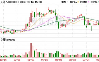 厦门深天马A：目前公司在第6代柔性AMOLED产线上布局的IT、车载显示项目顺利推进