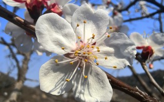 厦门万亿公募汇添富：“选股专家”变“被动之家”