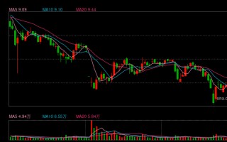 厦门山东章鼓因财务造假致“戴帽”在即，国资深度介入能否扭转“父子店”困局？