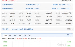 厦门快手绩后跌逾13% 创近11个月来最大单日跌幅 多家机构下调目标价