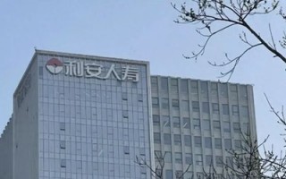 厦门利安人寿“再造”梦碎，新班子承压前行