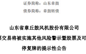 厦门虚减利润被罚！002598，将被ST！