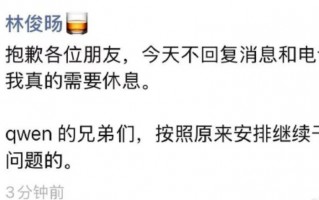 厦门阿里回应林俊旸离职！内部人士：其离职系权责调整分歧