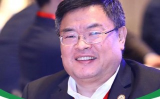 厦门10亿元融资，绊倒了盈科创始人梅向荣，他的家族生意怎么回事？|| 深度