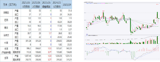 厦门玉米：多重因素支撑，上方仍有空间