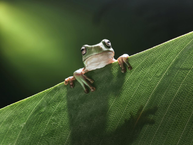 厦门OPPO Find N6全球发布：破解折叠屏8年折痕难题 售价9999元起