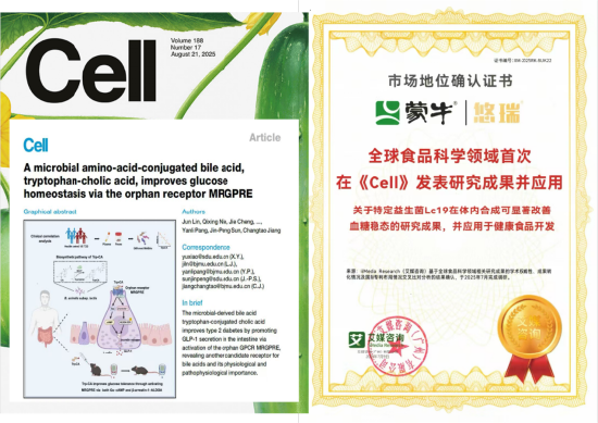 厦门蒙牛发布2025年财报：进化强韧性，蓄力迎增长