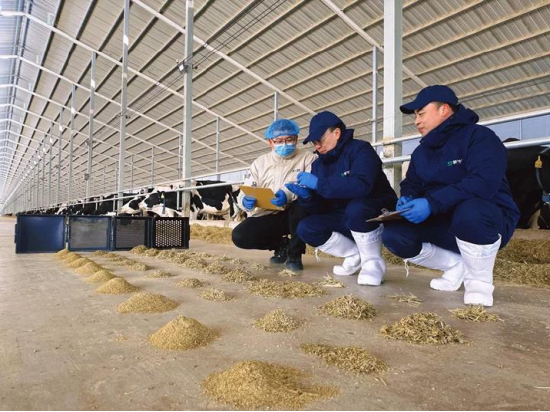 厦门蒙牛发布2025年财报：进化强韧性，蓄力迎增长