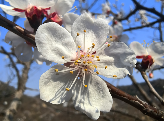 厦门万亿公募汇添富：“选股专家”变“被动之家”