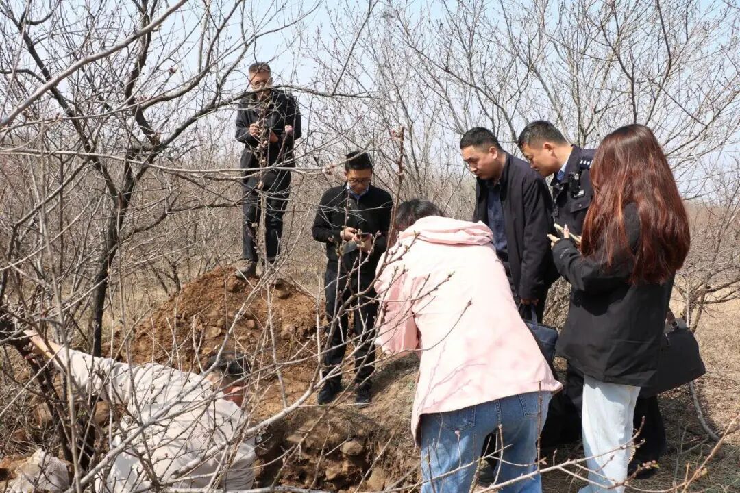 厦门听说埋有大量黄金，想要“一辈子衣食无忧”，山东公安：5人已被依法采取刑事强制措施