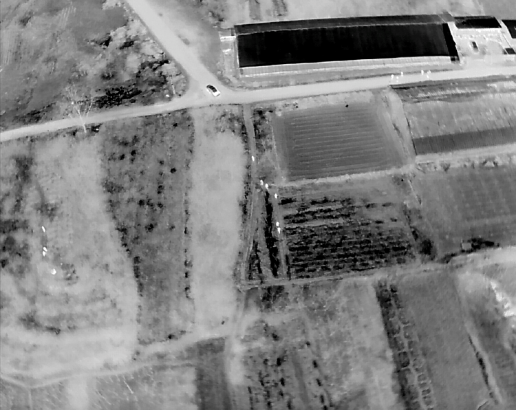 厦门听说埋有大量黄金，想要“一辈子衣食无忧”，山东公安：5人已被依法采取刑事强制措施