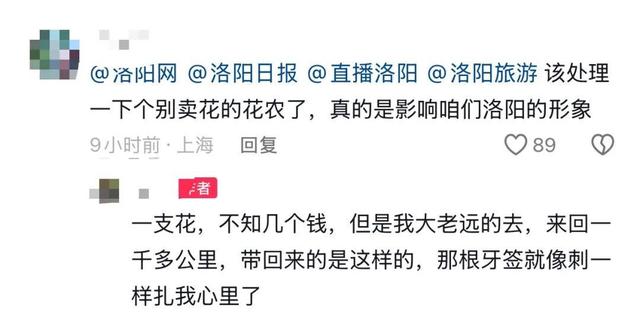 厦门游客称在洛阳一市集买的牡丹，竟是牙签固定的 “断头花”！市集回应：已关注，正核实